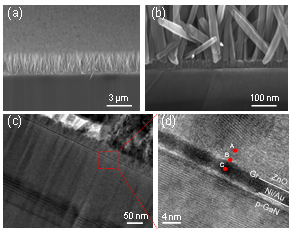 ZnO-graphene 하이브리드구조의 전자현미경 및 투과현미경 사진