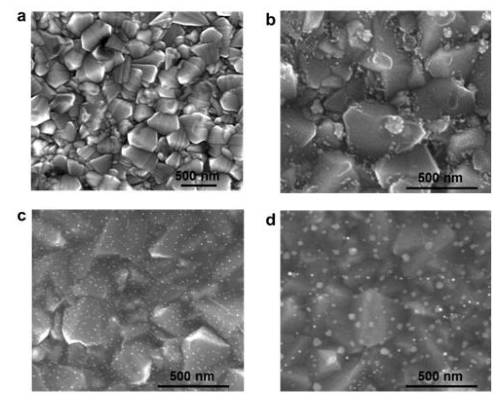 FTO glass (a), Ptspread FTO(b), GO/Pthybrid(c), GO/Au hybrid(d) GO 처리된 표면에서 금속 나노입자 성장이 매우 고르게 분포