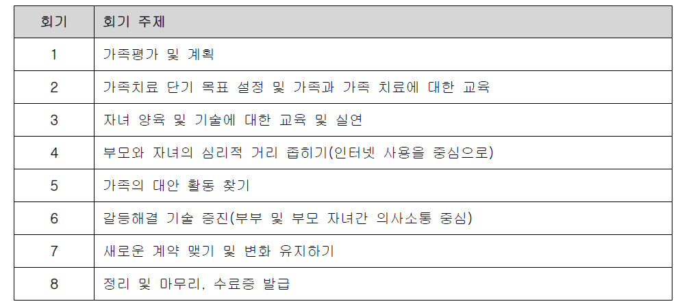 인터넷 중독의 가족치료(서울대병원)