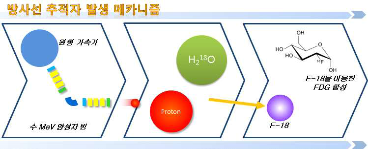 방사선 추적자 발생 개념도