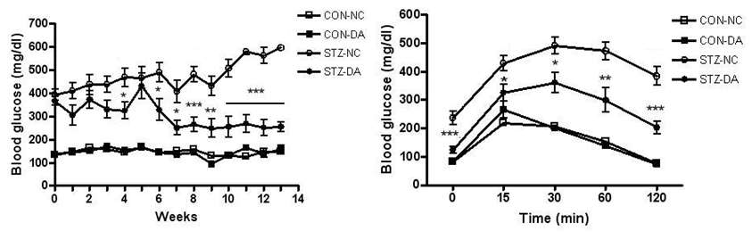 DPPIV inhibitor ameliorated high blood glucose after STZ treatment (left). Intraperitonela glucose tolerance test shows glucose tolerance was improved by adminstration of DPPIV inhibitor to diabetic mice after STZ treatment (right)