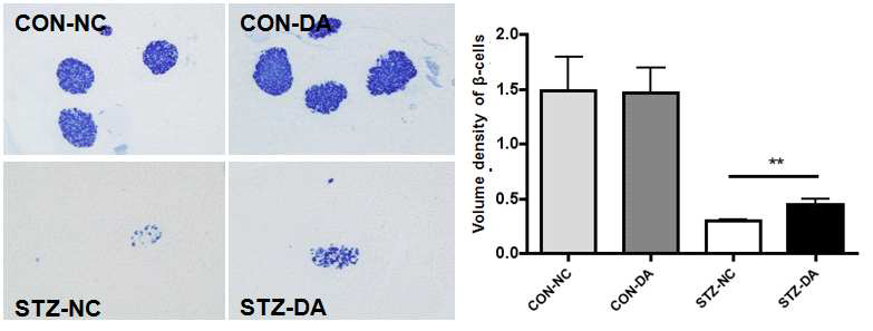 Administration of DPPIV inhibitor increased b-cell volume estimated by insulin immunihistochemistry in diabetic mice after STZ treatment to a small degree but significantly