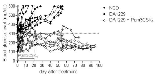 DPPIV inhibitor in conjuction with Pam3Cys induced significant amelioration of hyperglycemia in diabetic mice, while DPPIV inhibitor alone did not have such an effect