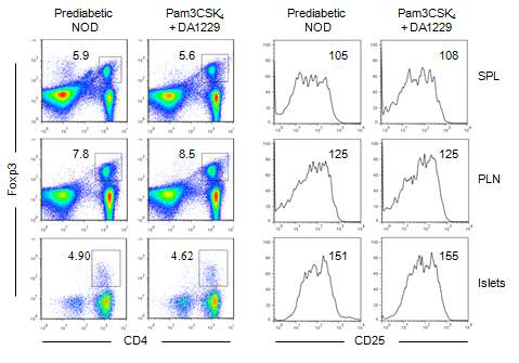 Unaltered Treg cells in NOD mice treated with Pam3CSK4+DA-1229. a Mononuclear cells from the spleen, PLNs and or islets of NOD mice that were treated with Pam3CSK4+DA-1229 for 3 weeks or prediabetic NOD mice were stained using anti-CD4, -CD25 and -Foxp3 monoclonal Abs for triple-colored flow cytometry. The numbers in the left panel represent the percentage of CD4+Foxp3+ Treg cells (left). Those in the right panel denote the MFIs of CD25 on CD4+Foxp3+ cells (right)