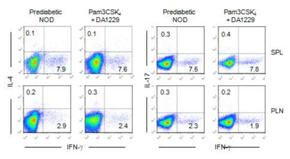 Unaltered Th1/Th2/Th17 polarization in NOD mice treated with Pam3CSK4+DA-1229. Th1/Th2/Th17 skewing of mononuclear cells from the spleen or PLNs of NOD mice that were treated with Pam3CSK4+DA-1229 was examined. Results are representative of 3 ~ 4 independent experiments, showing similar tendencies