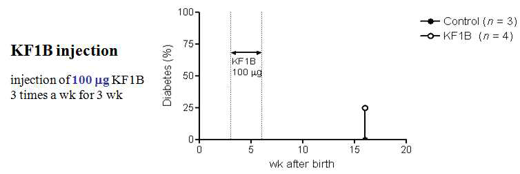 The effect of 100 ug dose of KF1B, 3 times a week, is being studied in NOD mice