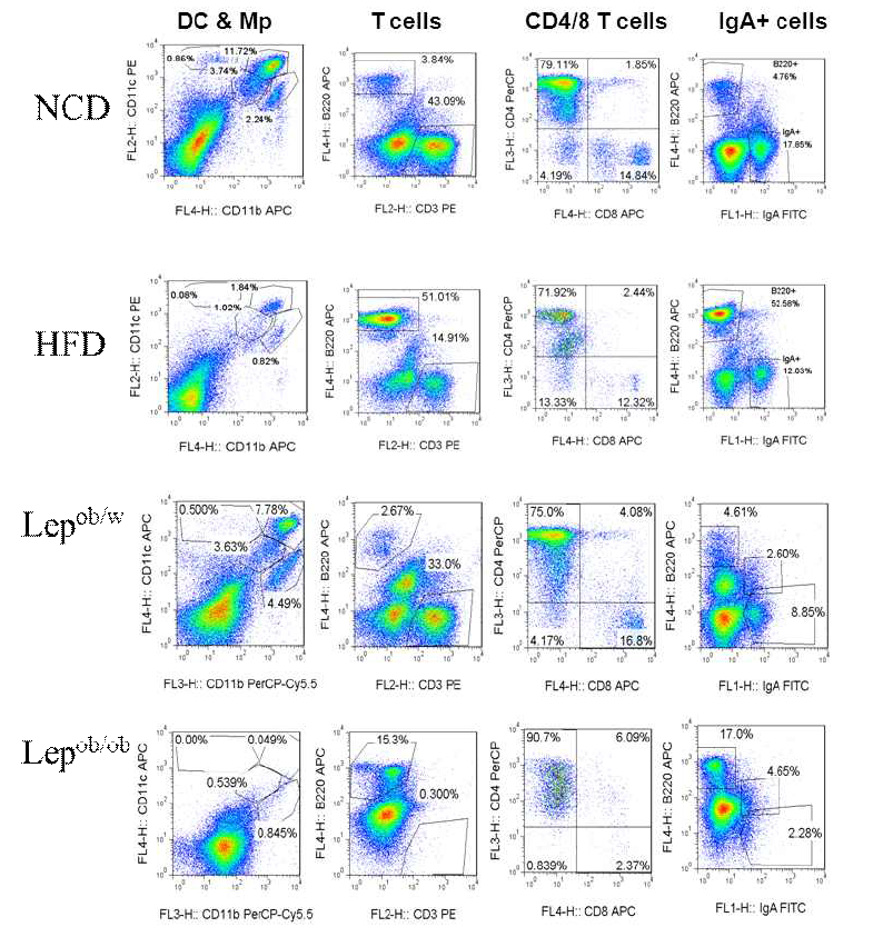 Altered phenotype of lamina propria immune cells in obese mice