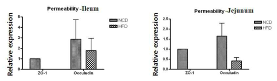 Decreased expression levels of gut tight-junction proteins in the intestines of obese mice