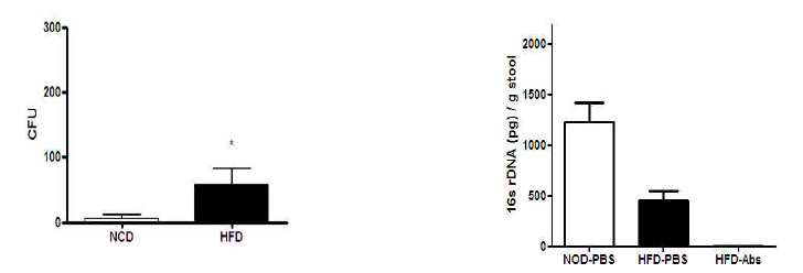 Conoly count after bacterial culture of the spleen extract (left). Quantitation of whole bacteria was assayed by Q-PCR determination of 16S rRNA genes in the liver (right)