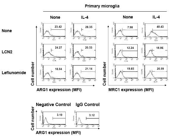 LCN2 inhibition of IL-4-induced STAT6 activation and M2 gene expression in microglia. After primary microglia were treated with the recombinant LCN2 protein (10 mg/ml) or leflunomide (10 mM) in the presence or absence of IL-4 (10 ng/ml) for 24 hr, ARG1 or MRC1 surface expression was detected by flow cytometric analysis using monoclonal antibodies specific for ARG1 or MRC1. Histograms from specific staining are compared with background staining