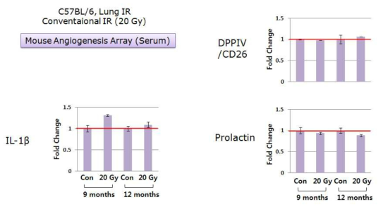 혈관형성 관련 항체기반 단백질 어레이를 이용하여 통상적 방사선 조사 (Conventioanl Radiotherapy, 20 Gy)를 받은 마우스의 혈청을 분석결과, 체부정위 방사선 조사 (SBRT; Stereotactic body radiation therapy, 90 Gy)를 받은 마우스의 폐조직에서 DPPIV/CD26의 발현은 감소하고, IL-1β와 Prolactin의 발현은 증가하여 항체 기반 어레이와 일치한 결과를 관찰. SBRT에 비해 변화 정도가 약함을 관찰할 수 있었음