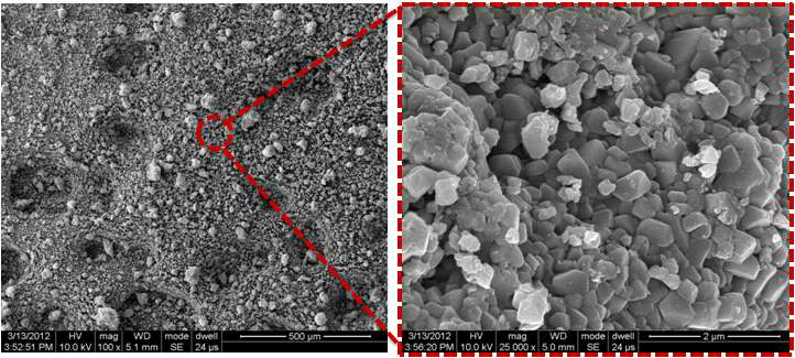 합성된 LiNi0.8Co0.15Al0.05O2의 SEM images