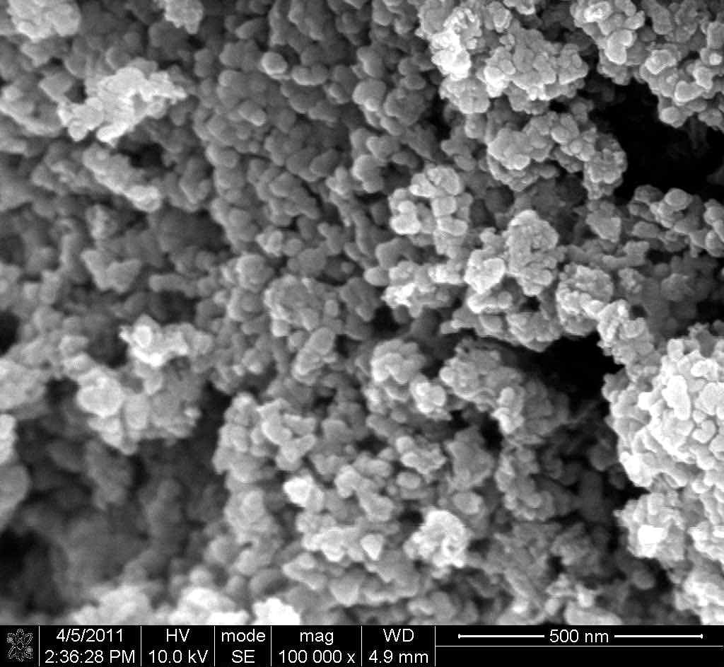 졸-겔 법을 이용하여 합성한 Li2MnSiO4/C SEM image