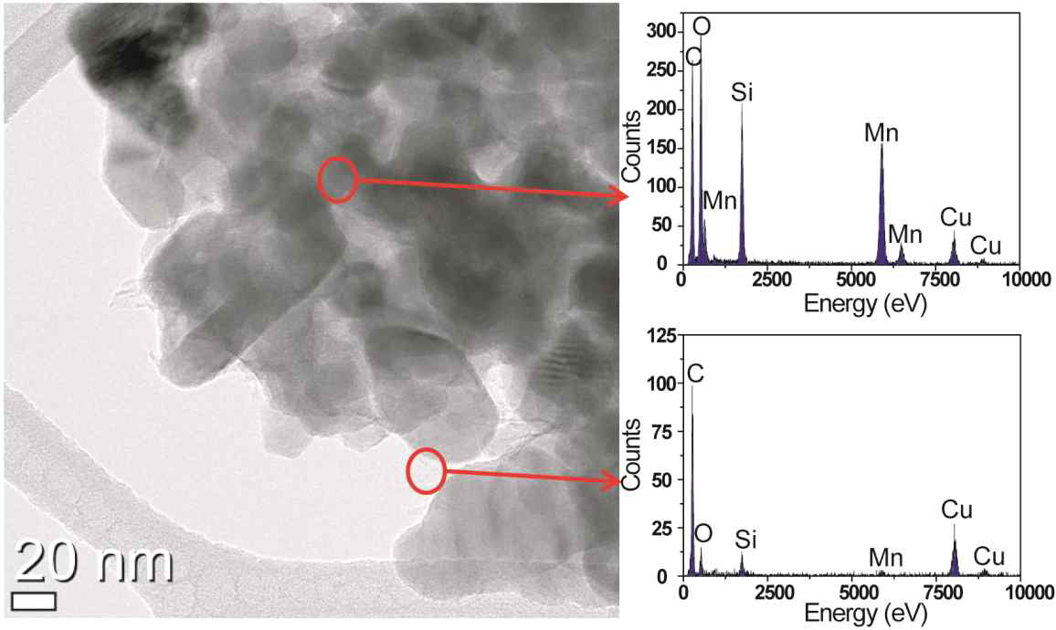 TEM image and point element analysis (bulk and surface)