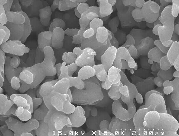 SEM image of Mn2V2O7