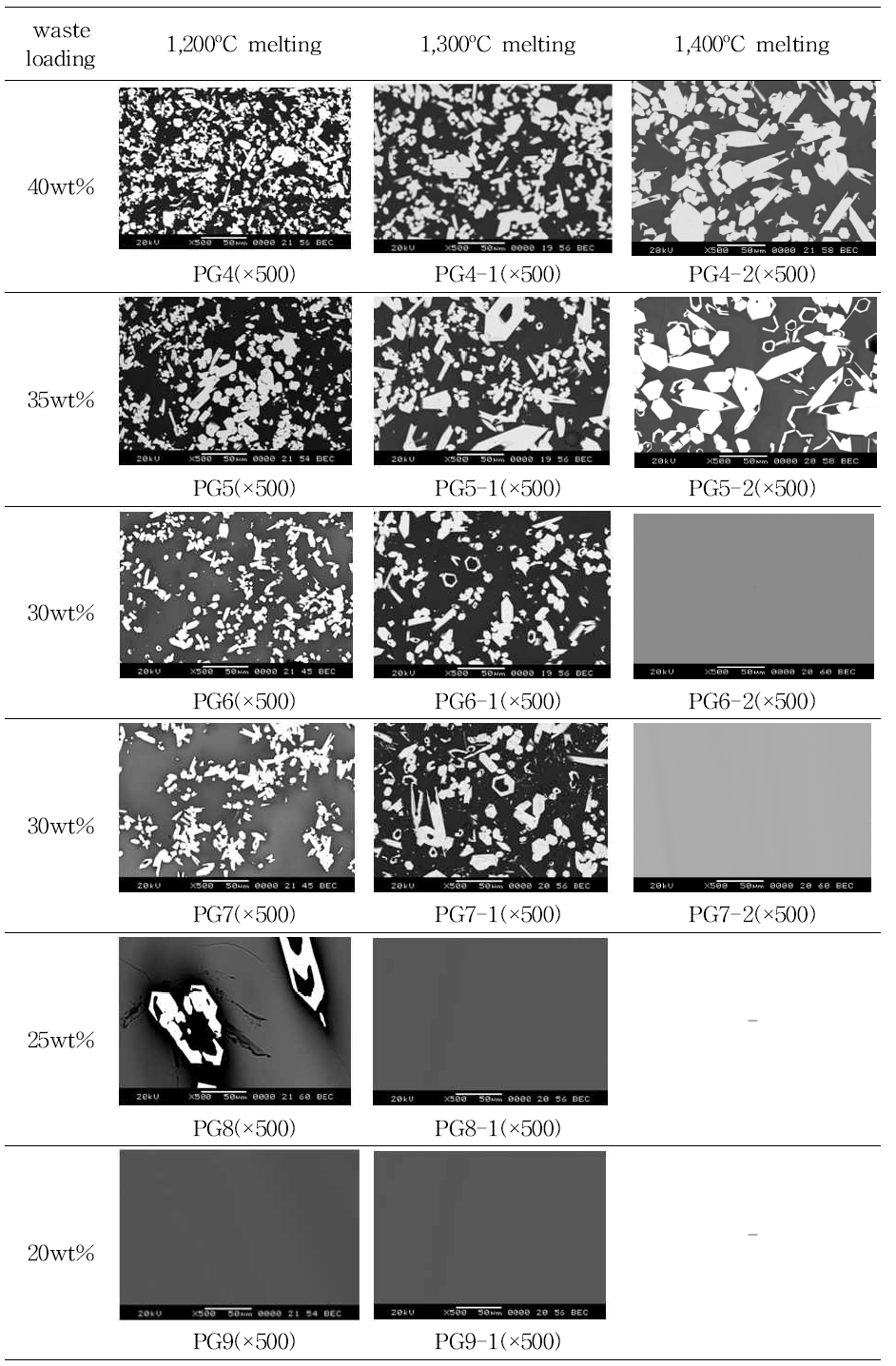 용해도 평가(SEM micrographs)