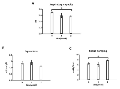 Functional evaluation of mouse lung after irradiation