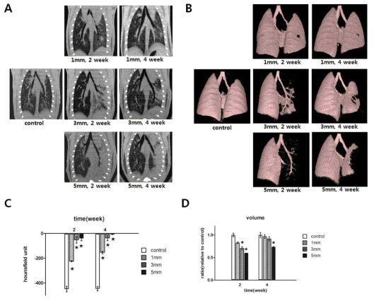 다양한 체적으로 방사선 조사 후 micro-CT 측정 결과