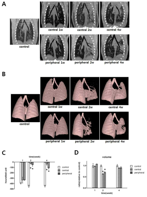 Micro-CT analysis