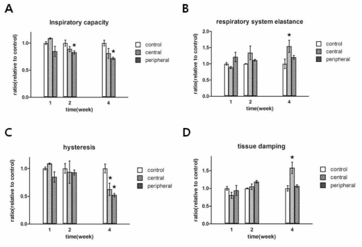 Functional evaluation of mouse lung after irradiation