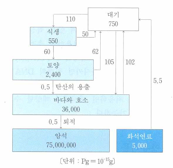 지구의 탄소순환