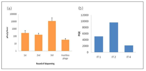 in vivo intra-intestinal phage display를 통한 peptide 동정 결과. Intra-intestinal phage display 통한 biopanning (a) , real-time PCR 정량법을 이용한 각 후보 phage의 투과 효율 비교(b)