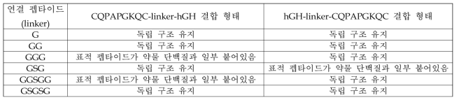 융합 단백질에서의 표적 펩타이드와 융합 단백질 사이의 구조적 상호작용