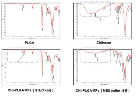 두 가지 chitosan 용액으로 코팅된 PLGA MPs의 FT-IR spectra