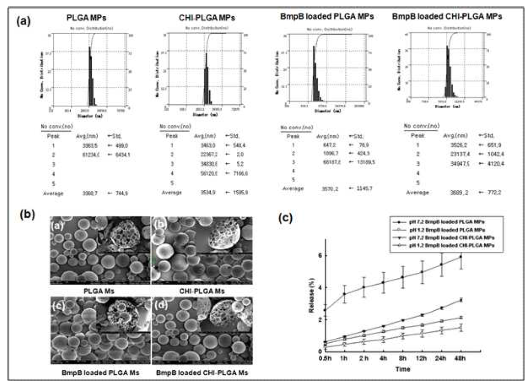 In vitro에서 키토산이 코팅된 PLGA 마이크로스피어로부터의 BmpB 항원 단백질 방출거동(a),토탈광산란기로 측정한 다공성 PLGA 마이크로스피어의 입자크기와 분포(b), 각각의 다공성 PLGA 마이크로스피어의 형태 비교. 다공성 PLGA 마이크로스피어 BmpB 항원 단백질 방출거동(c)