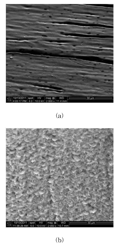 CHF 실험 후 튜브 안쪽 SEM 이미지: (a) Water, (b) Al2O3/water 나노유체