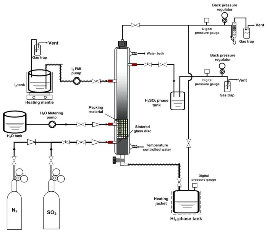 Schematic diagram of experimental apparatus for the continuous Bunsen reaction