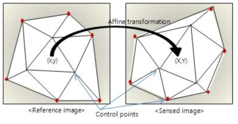 전역적/국지적 변환모델식. 삼각망이 구성된 지역은 piecewise linear function으로, 삼각망이 구성되지 않은 지역은 affine transformation으로 각각 변환을 수행