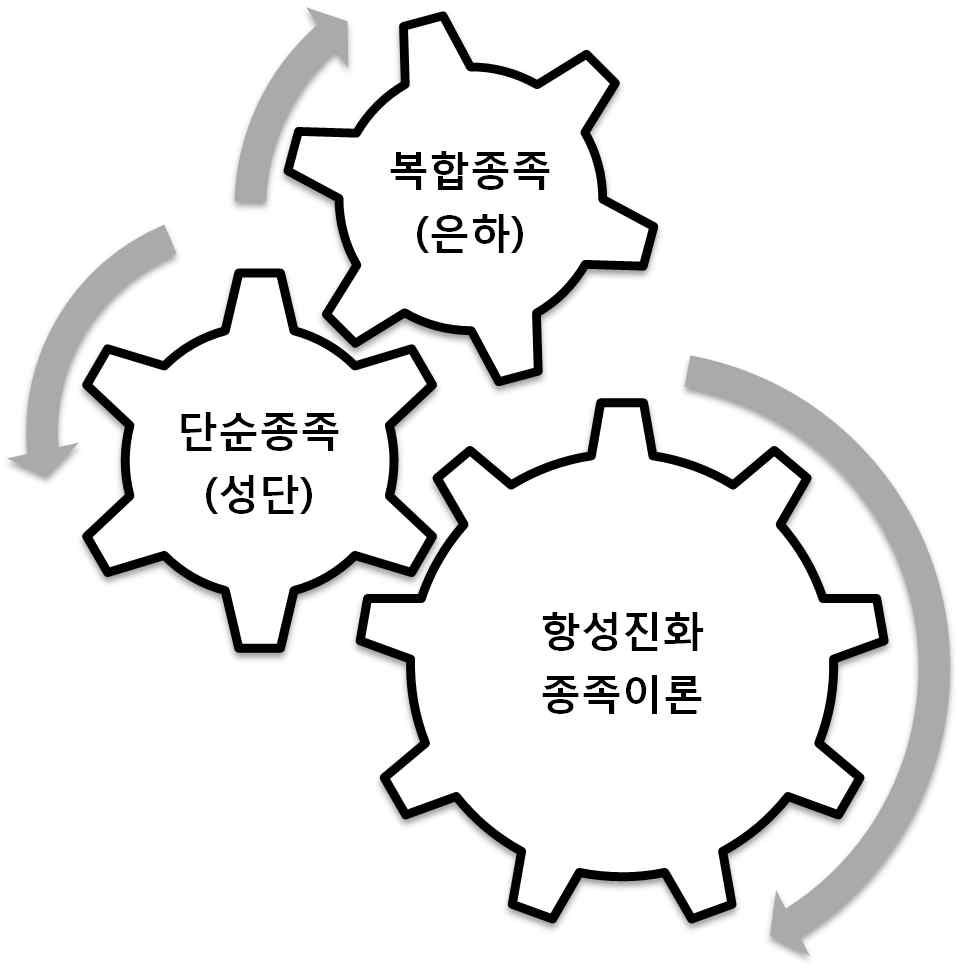 세부 연구 과제 사이의 논리적 진행에 초점을 맞춘 연구 체계도