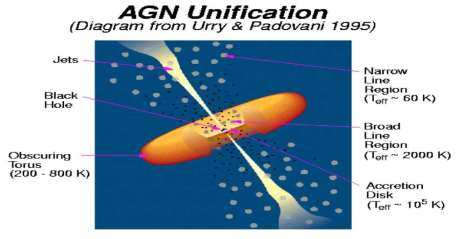 AGN 통일모형은 broad line region을 보이는 Type I 과 narrow line을 보이는 Type II가 viewing angle에 의해 다르게 보이는 것이라고 추측합니다