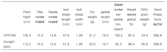 Agronomic traits and grain of CPPO06 and Dongjin rices in 2011