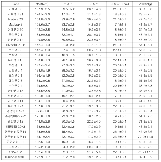 2011년도 잡초벼 계통별 농업적 형질 조사