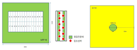 Marker-free protox벼로부터 잡초벼로 및 동진벼로의 유전자 이동 검정