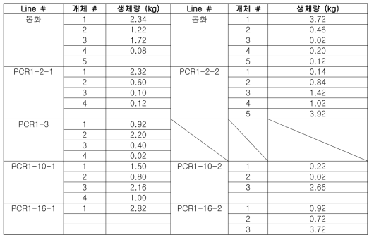 PCR1 형질전환 포플러의 2010년 지상부 생체량