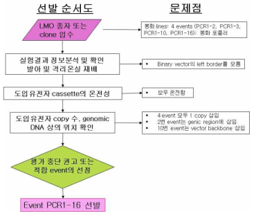 환경정화용 PCR1 형질전환 포플러의 우량 이벤트 선발 결과