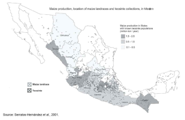 옥수수 지역 품종과 테오신테의 멕시코 내의 분포