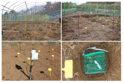 General view of experimental locations and seed bag before buried