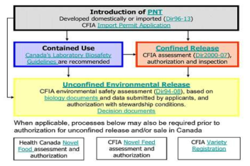 캐나다의 유전자변형식물의 관리체계
