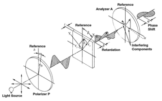 Plane Polariscope (Vishay, 2004)