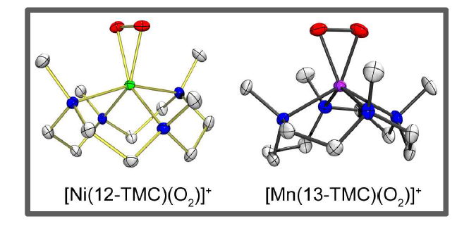 NiIII-O2와 MnIII-O2의 구조