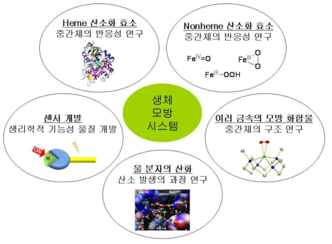 생체 모방 시스템 연구단에서 수행할 연구 과제