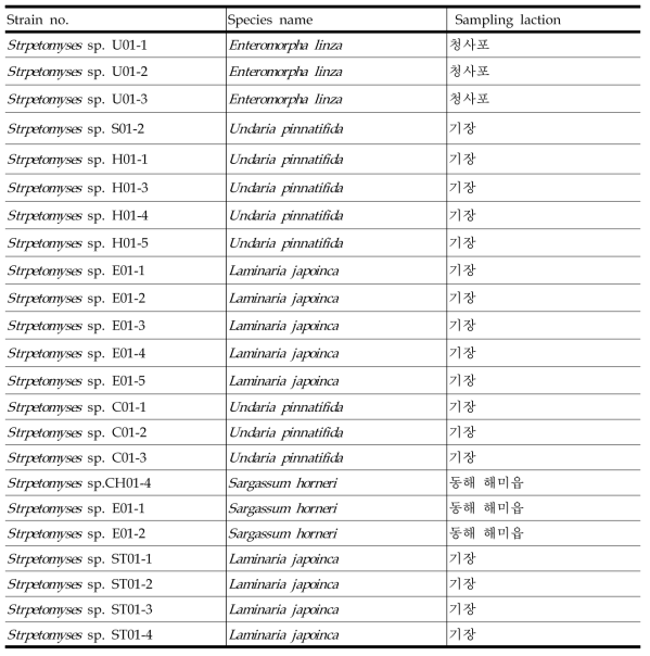 Streptomyces isolated from seaweed