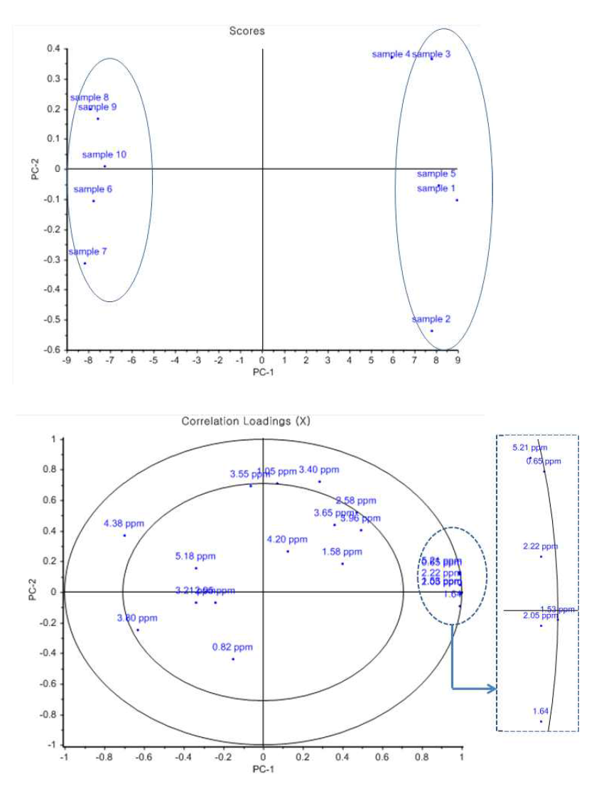 PCA plots of PC1 vs PC2 scores based on data from 1H NMR spectra. Top: score plots, down: loading plots correlation