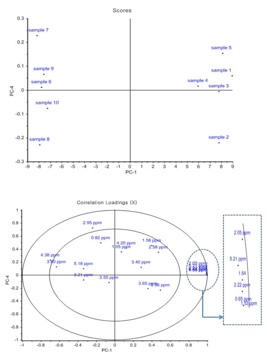 PCA plots of PC1 vs PC4 scores based on data from 1H NMR spectra. Top: score plots, down: loading plots correlation