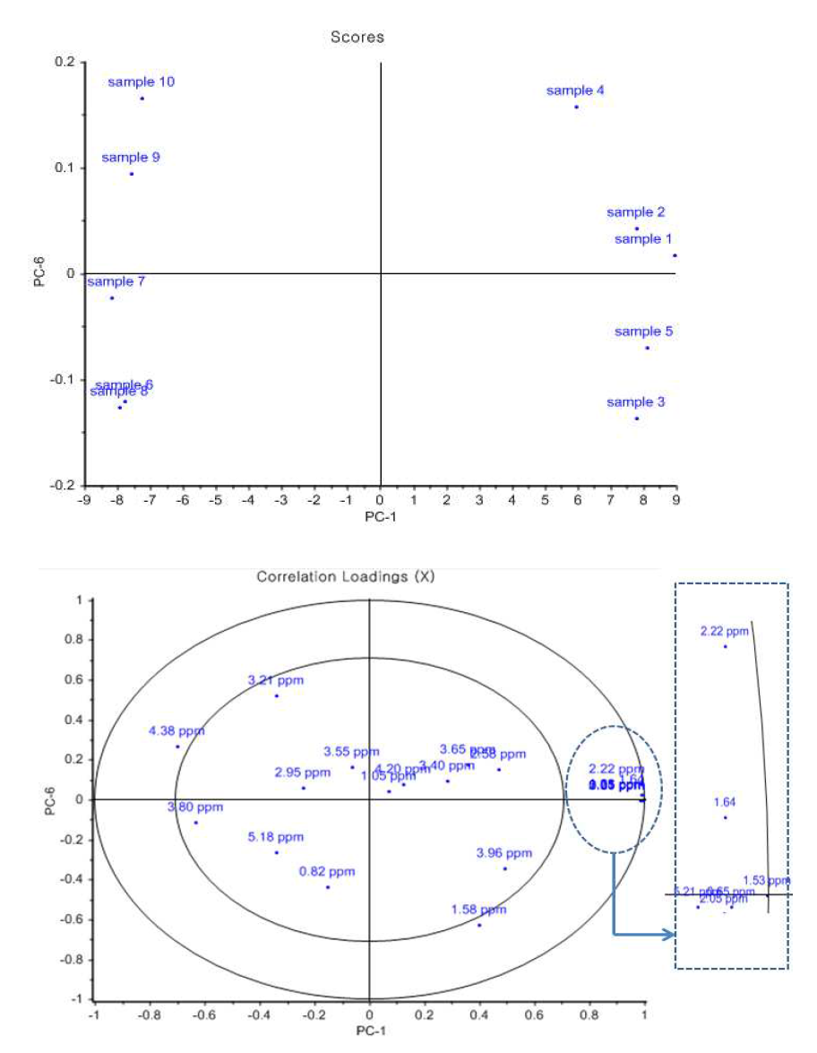 PCA plots of PC1 vs PC6 scores based on data from 1H NMR spectra. Top: score plots, down: loading plots correlation