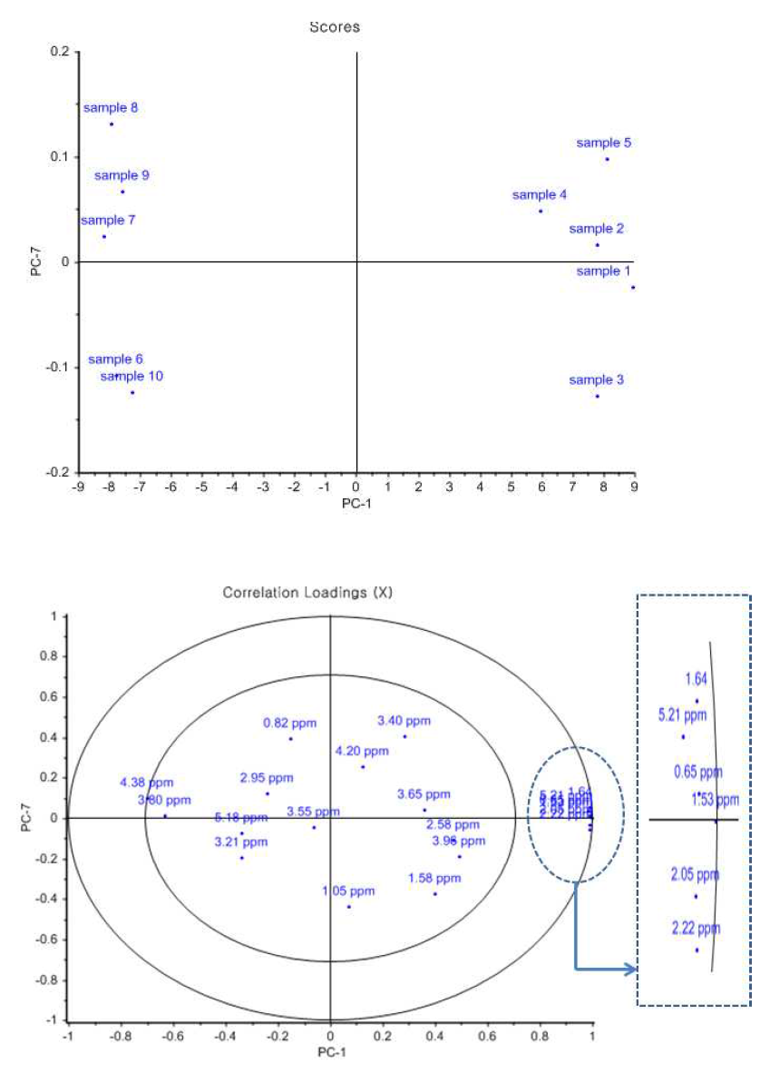 PCA plots of PC1 vs PC6 scores based on data from 1H NMR spectra. Top: score plots, down: loading plots correlation